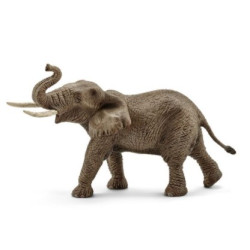 Afrikai elefánt bika 14762