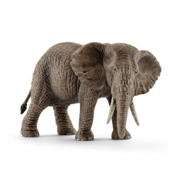 Afrikai elefánt tehén 14761