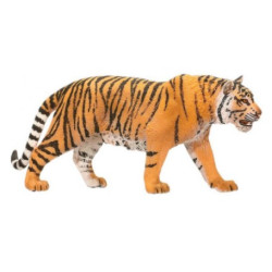 Bengáli tigris 14729