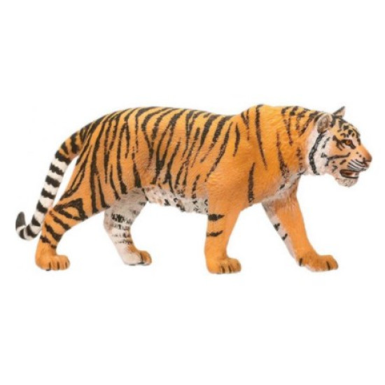 Bengáli tigris 14729