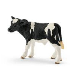Holstein borjú 13798
